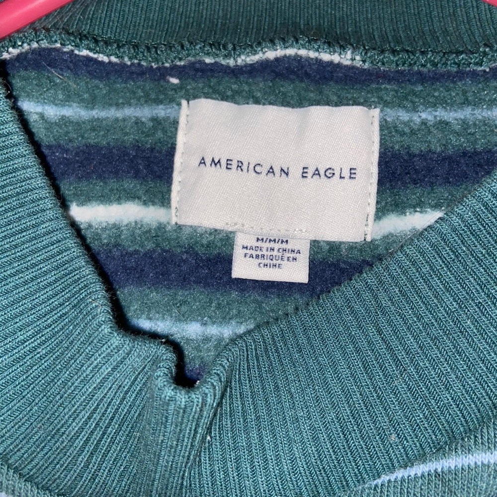 Cropped American eagle sweatshirt